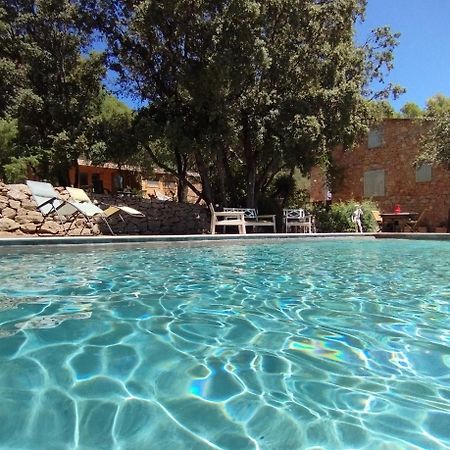 La Bergerie Des Colles Bed & Breakfast Entrecasteaux Dış mekan fotoğraf