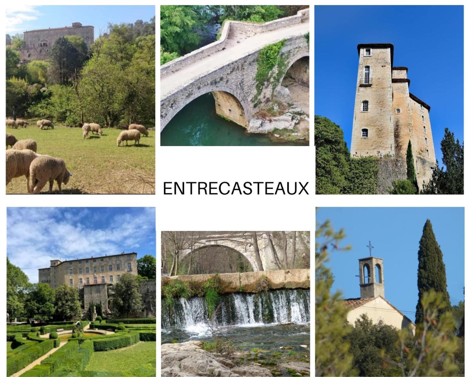 La Bergerie Des Colles Bed & Breakfast Entrecasteaux Dış mekan fotoğraf