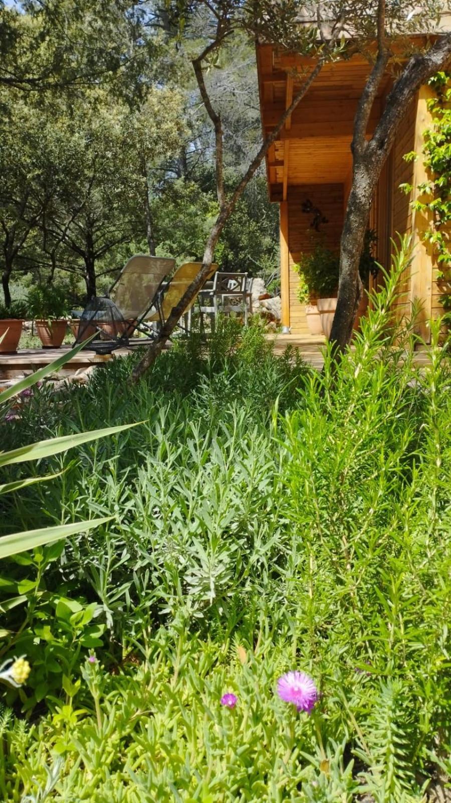 La Bergerie Des Colles Bed & Breakfast Entrecasteaux Dış mekan fotoğraf