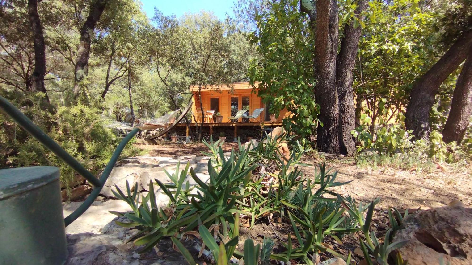 La Bergerie Des Colles Bed & Breakfast Entrecasteaux Dış mekan fotoğraf