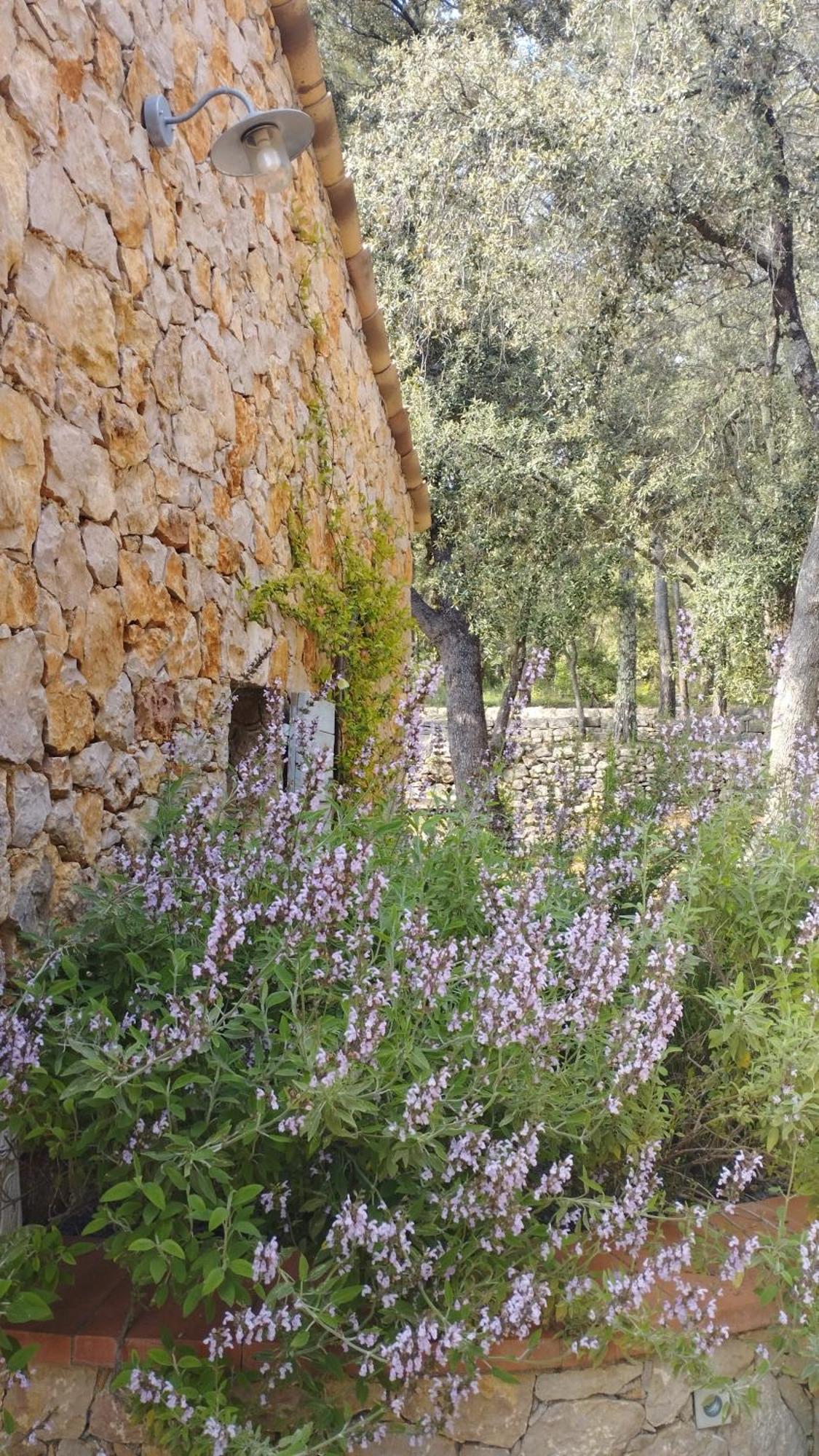 La Bergerie Des Colles Bed & Breakfast Entrecasteaux Dış mekan fotoğraf